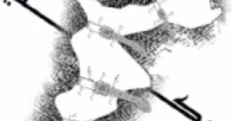 حملة "لأ" توزع آلاف المنشورات في شوارع عمان