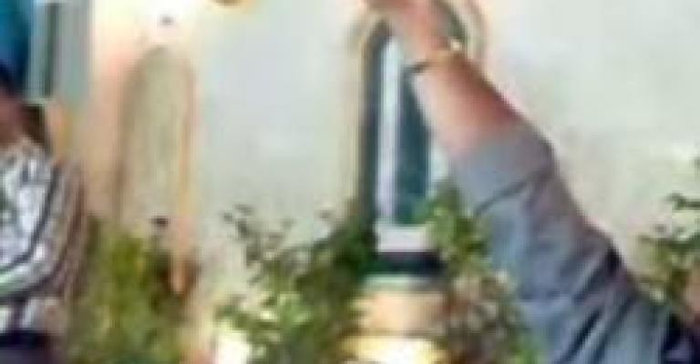 إجراءات مشددة ضد إطلاق الأعيرة النارية بالمناسبات إجراءات مشددة ضد إطلاق الأعيرة النارية بالمناسبات