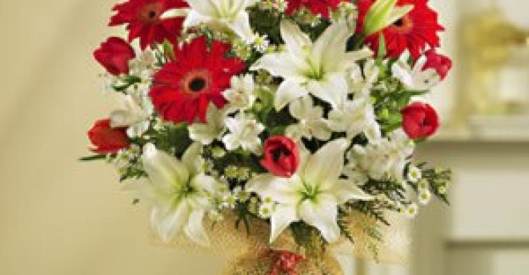 سلامات لفايز السعودي سلامات لفايز السعودي