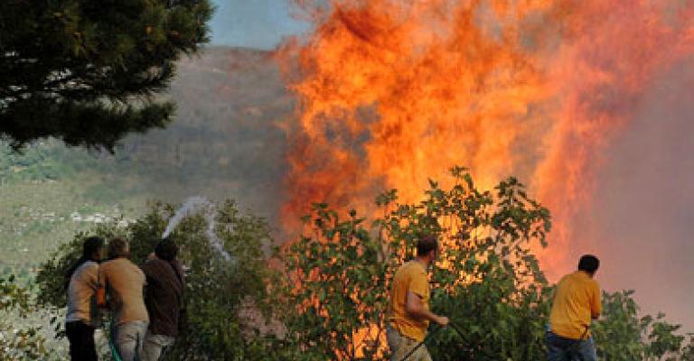 احتراق 50 دونم من الاشجار المثمرة احتراق 50 دونم من الاشجار المثمرة