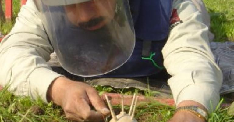 منحة اميركية لمشروع إزالة الألغام على حدود الاردن الشمالية منحة اميركية لمشروع إزالة الألغام على حدود الاردن الشمالية