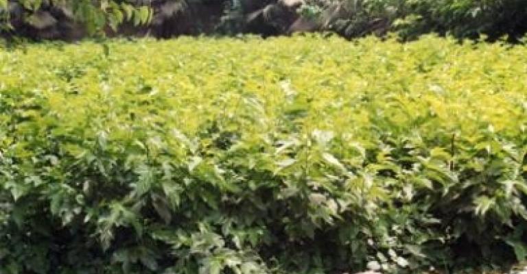 ارتفاع أسعار المنتجين الزراعيين لشهر حزيران 1.5 %