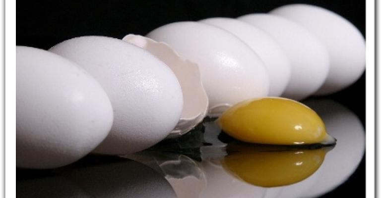 73.9 مليون بيضة في الاردن 73.9 مليون بيضة في الاردن