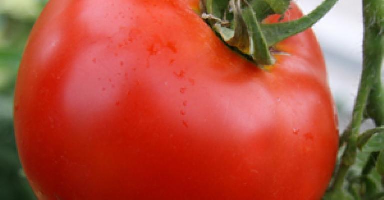 البندورة بـ 80 قرش البندورة بـ 80 قرش