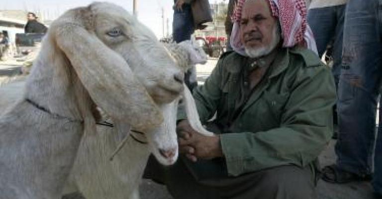 الصناعة والتجارة : لا عودة عن قرار رفع أسعار مادة الشعير الصناعة والتجارة : لا عودة عن قرار رفع أسعار مادة الشعير