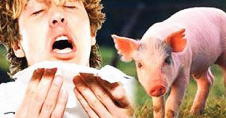 انفلونزا الخنازير .. ما العمل !؟