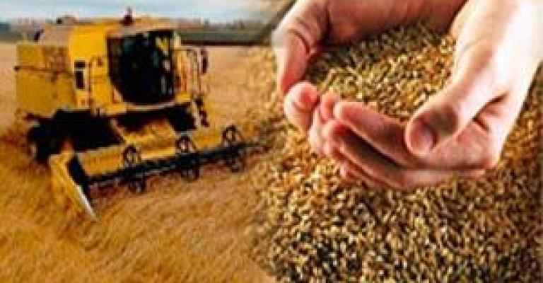 الزراعة تدرس استئجار اراضي في اكرانيا 