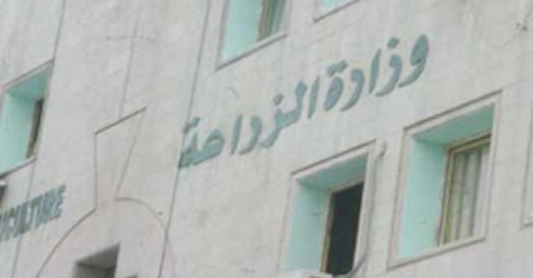 العاملون في المشاريع الزراعية يضربون عن العمل