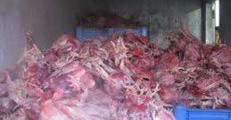 الامانة: اتلاف 73 الف كغم من اللحوم والدواجن خلال 2011