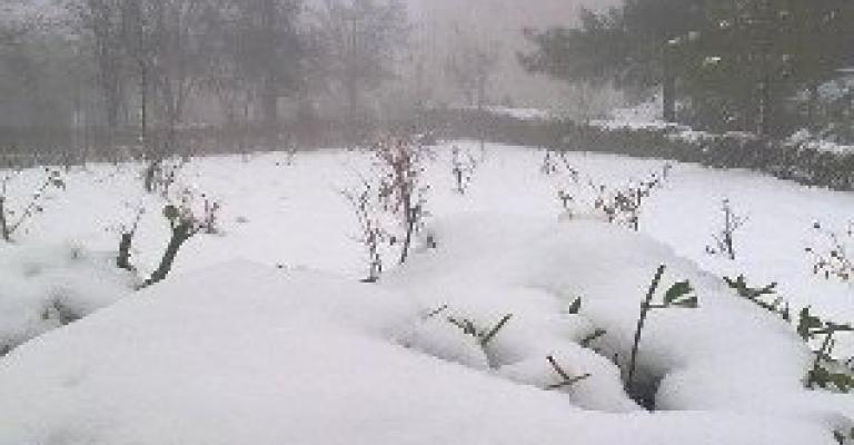 الثلج على المرتفعات الخميس