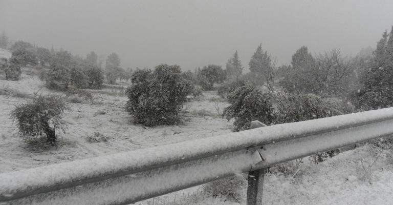 خطة طوارئ للتعامل مع الثلوج: السلع متوفرة والأمن يخبرك أحوال الطرق