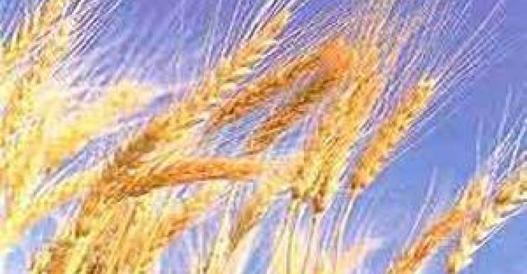منحة قمح "أميركية" جديدة للاردن