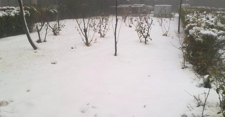 المرتفعات تنتظر الثلوج.. والصغرى في عمان درجة واحدة