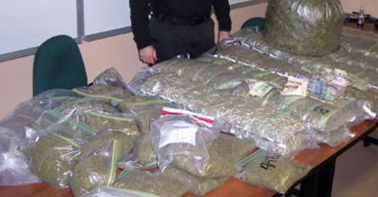 إحباط تهريب كمية ضخمة من المخدرات