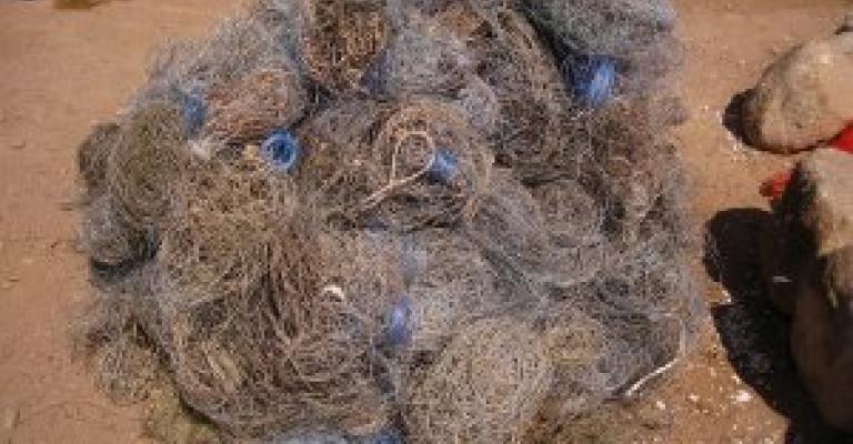 منتزه العقبة يستخرج آلاف الامتار من خيوط الصيد العالقة