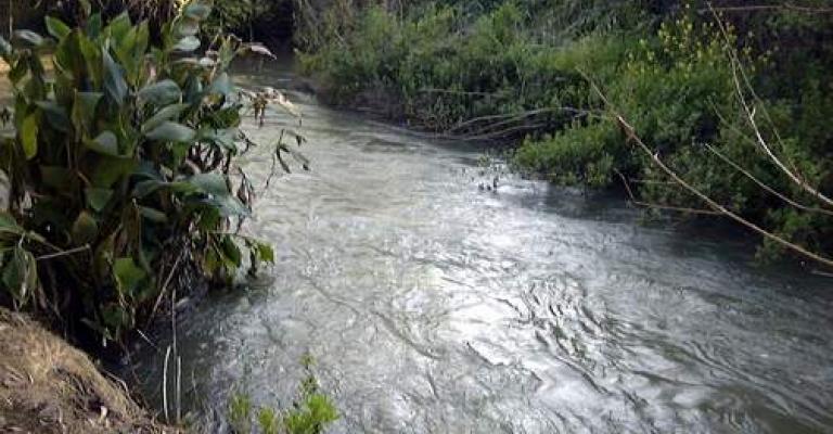 انتشال جثة خمسيني غرق في نهر الأردن