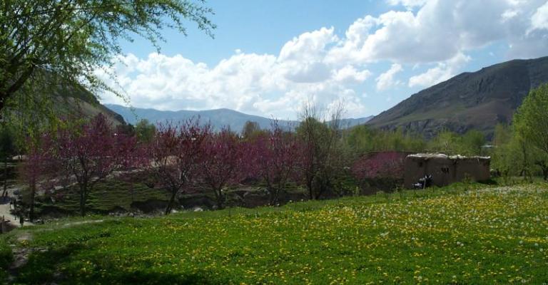 أجواء معتدلة في المناطق الجبلية والعظمى في عمان 28 درجة