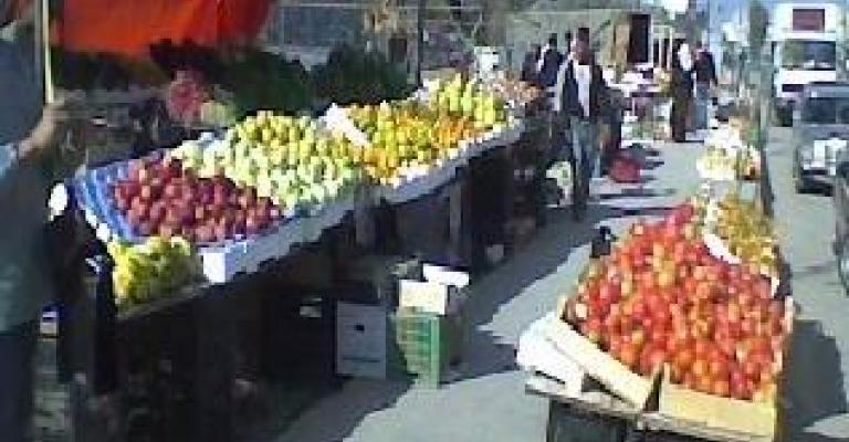 الأمانة تباشر حملة إزالة المعرشات المخالفة 