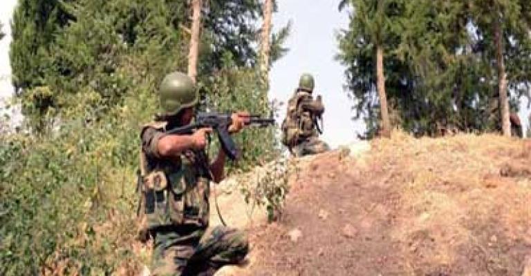 سانا: مقتل الأردنيين أبو جهاد وأبو حمزة بريف درعا