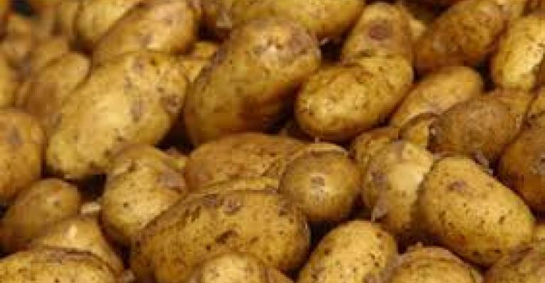 الزراعة ترفض دخول شحنتي ثوم وبطاطا لعدم مطابقتهما للمواصفات