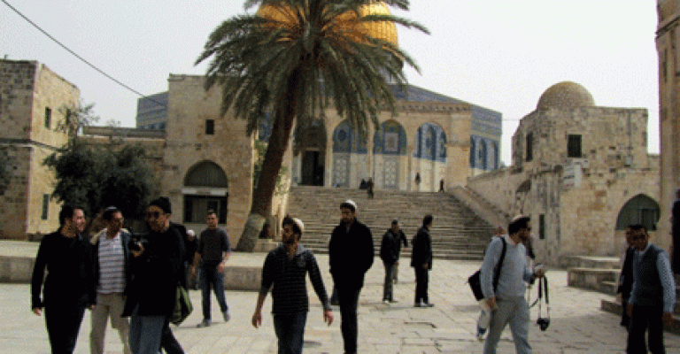 الأوقاف: أبلغنا الخارجية للعمل على وقف الانتهاكات في الأقصى