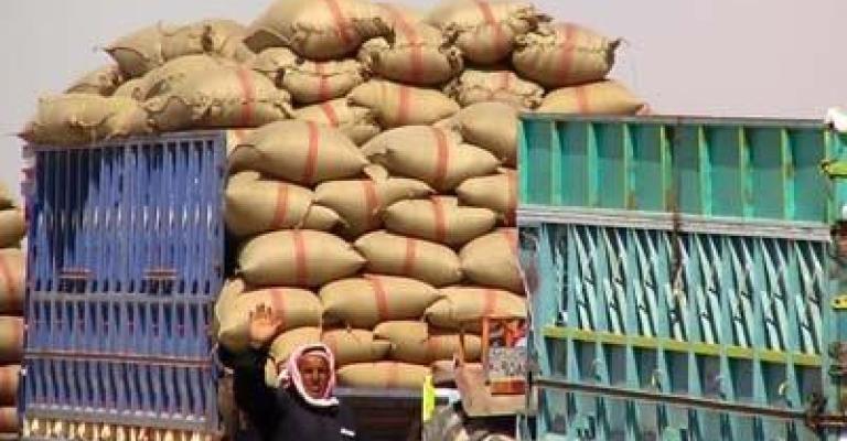 محيلان: نقص ألف طن من القمح أمر طبيعي