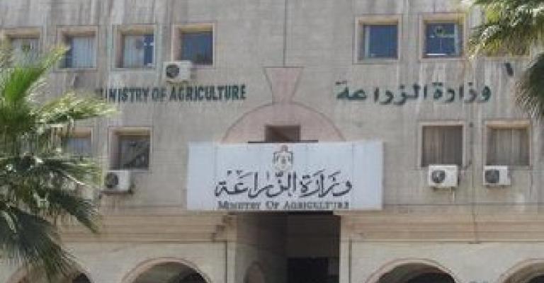 الزراعة: تبادل الخضار والفواكه مع سورية لم يتوقف