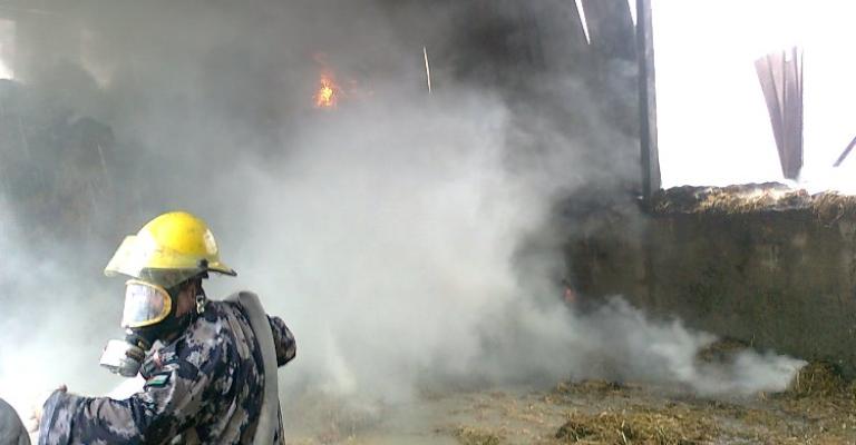 الزرقاء: إخماد حريق بمزرعة دواجن