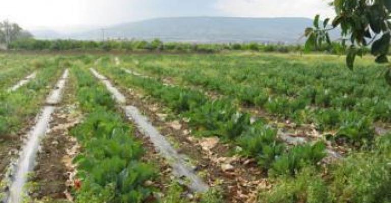 المزارعون يستبشرون بالموسم المطري