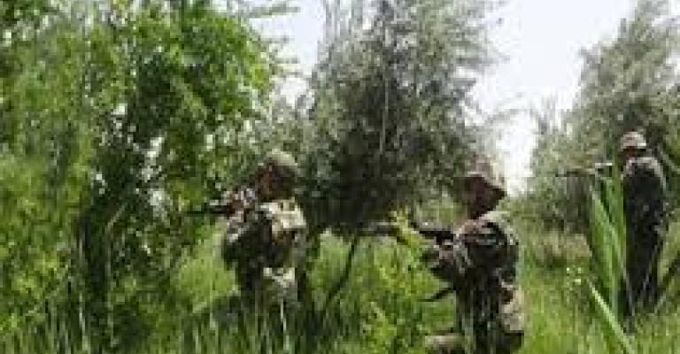 سانا: مقتل أردني في ريف إدلب