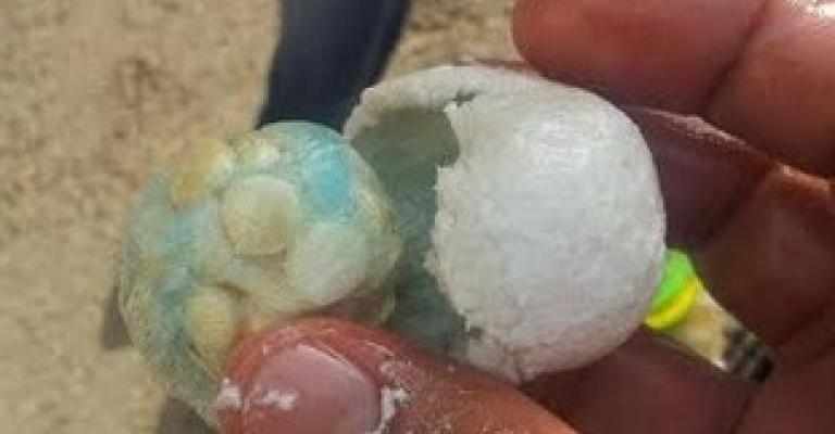 إحباط تهريب حبوب مخدرة في مواد غذائية