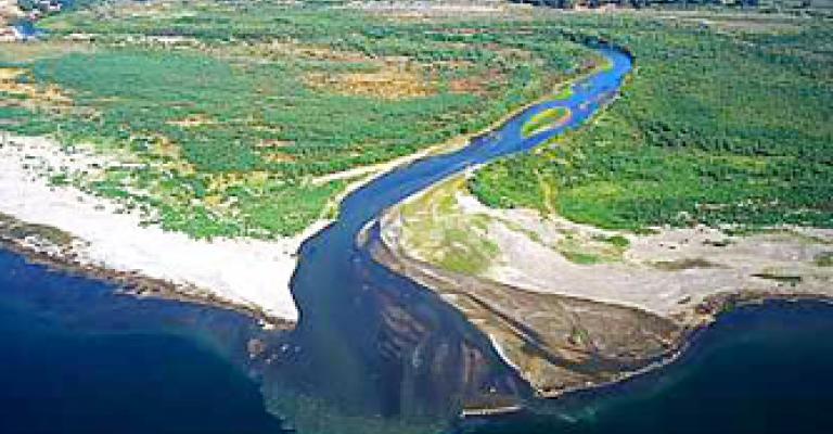 المومني : لا صحة لضم غور الاردن لاسرائيل