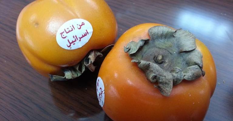 حدادين: لا إجراءات جديدة على استيراد المنتجات الزراعية من اسرائيل 