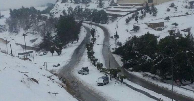 9 ملايين دينار.. خسائر البليات الأولية جراء "أليكسا"