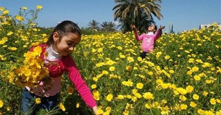 ارتفاع على درجات الحرارة اليوم ارتفاع على درجات الحرارة اليوم