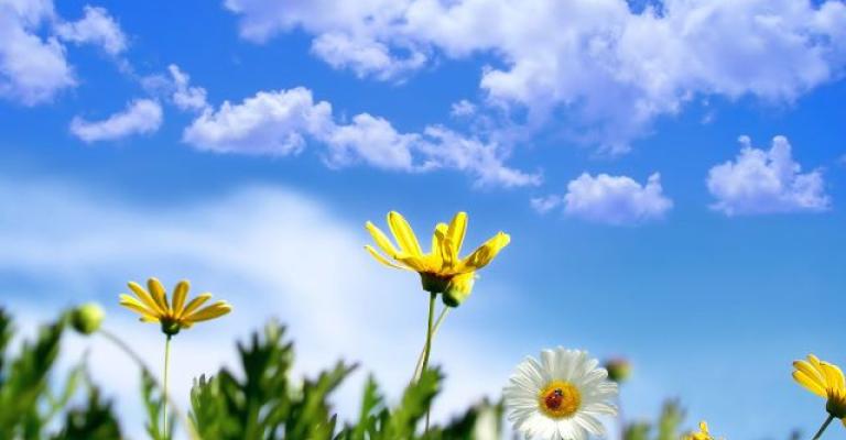 أجواء ربيعية وارتفاع على درجات الحرارة