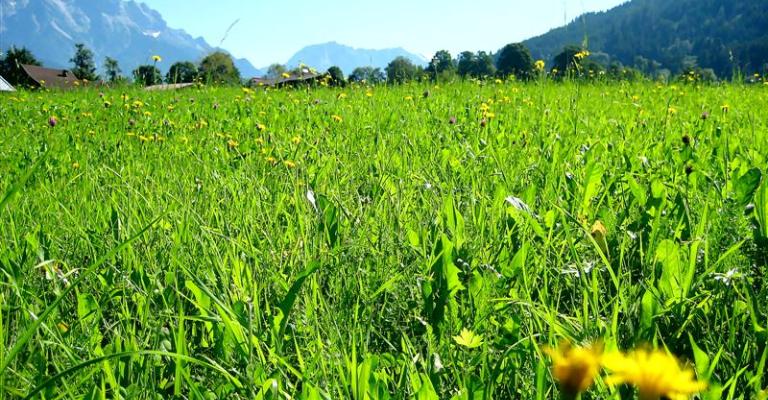 طقس ربيعي ومعتدل حتى الثلاثاء