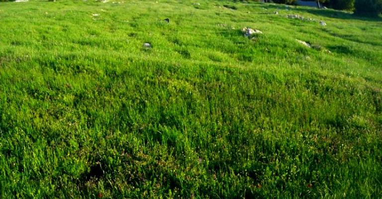 استقرار الحالة الجوية الأيام المقبلة استقرار الحالة الجوية الأيام المقبلة