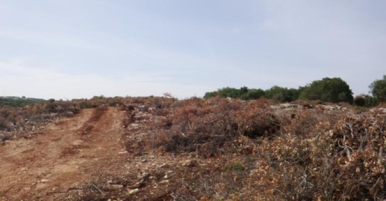 الزراعة تؤيد اقامة مشروع سانت هيرست في برقش