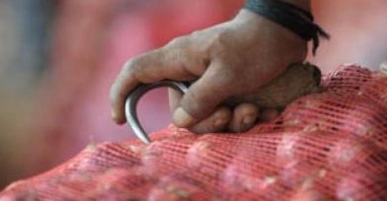 ضبط 5 أطنان من البصل المهرب