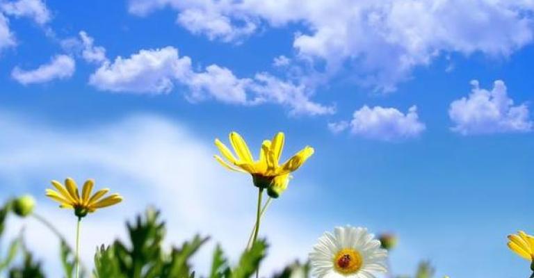 أجواء معتدلة في معظم مناطق الممكلة