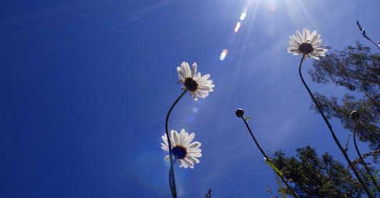 انخفاض طفيف على الحرارة السبت