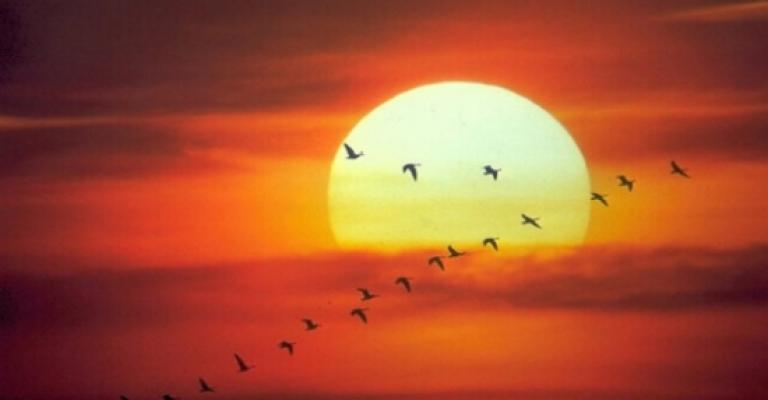 طقس صيفي عادي حتى السبت