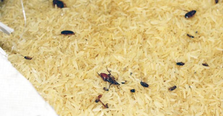  ضبط 200 طن أرز غير صالح للاستهلاك البشري
