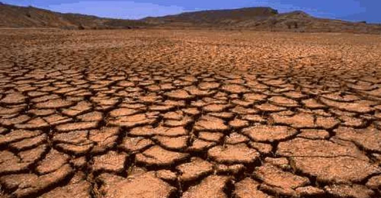 تحذيرات من امتداد الأراضي الصحراوية إلى الرقعة الخضراء تحذيرات من امتداد الأراضي الصحراوية إلى الرقعة الخضراء