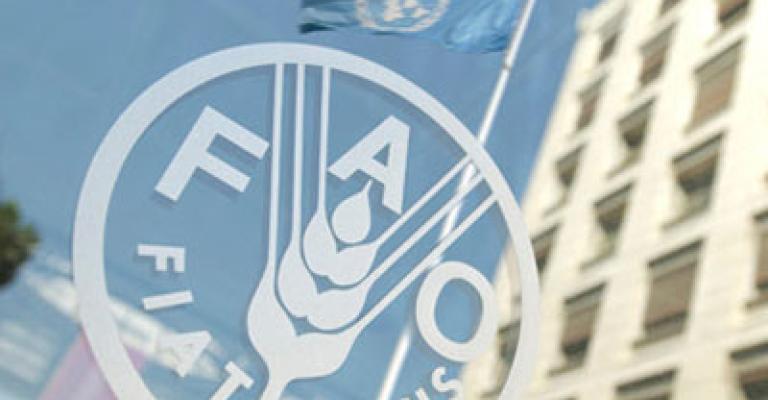 "الفاو": الأزمة السورية تخلف  نحو 10 مليون شخص غير آمن غذائياً