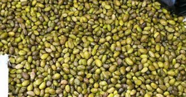 القبض على شخص حاول تهريب حبوب مخدرة بثمار الزيتون