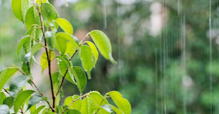 خبراء: المنخفض الجوي تغير طبيعي وداعم للإنتاج الزراعي