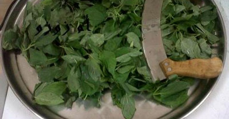 موسم الملوخية.. لمّة للجارات وهدايا للغائبين موسم الملوخية.. لمّة للجارات وهدايا للغائبين