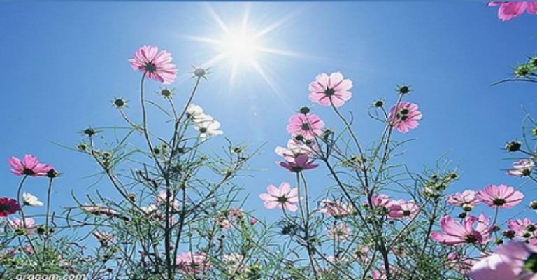 أجواء ربيعية في مختلف المحافظات